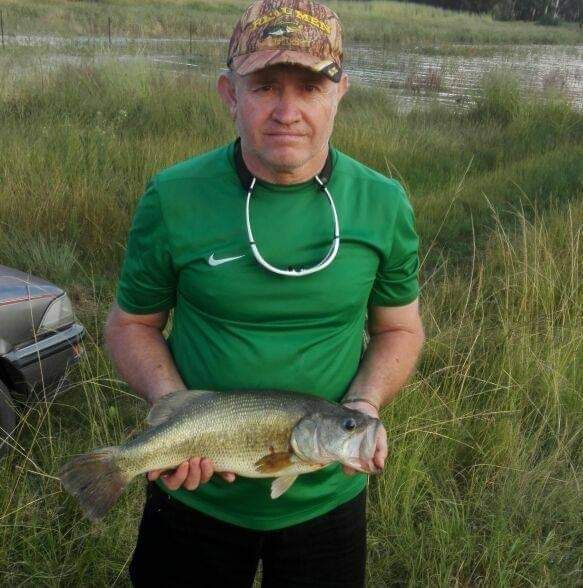 Dannie61