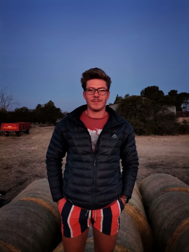 Hoerboer