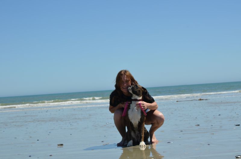 Liefdesagie