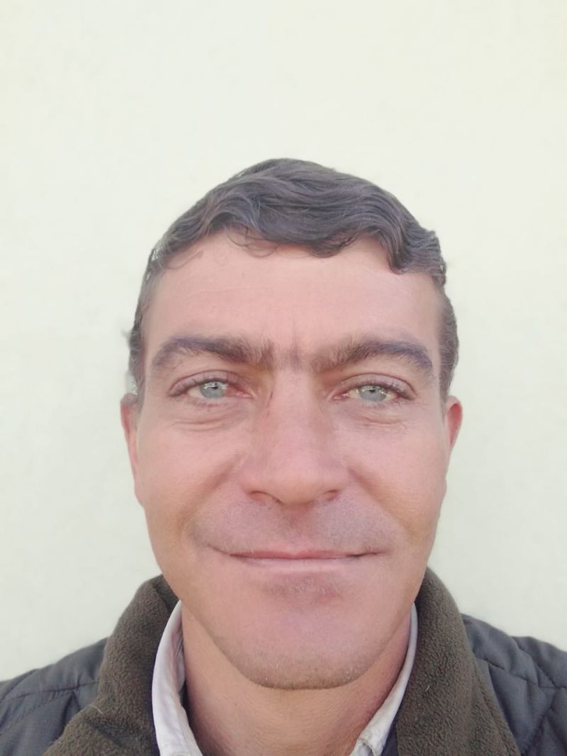 kaaspaas